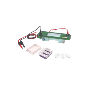 TP-Spat Mini Horizontal Gel Electrophores System для лабораторного анализа ДНК/РНК