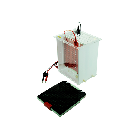 TP-Zy2 Horizontal Gel Electrophores nater с охлаждающим устройством, площадь переноса 175 × 175 мм